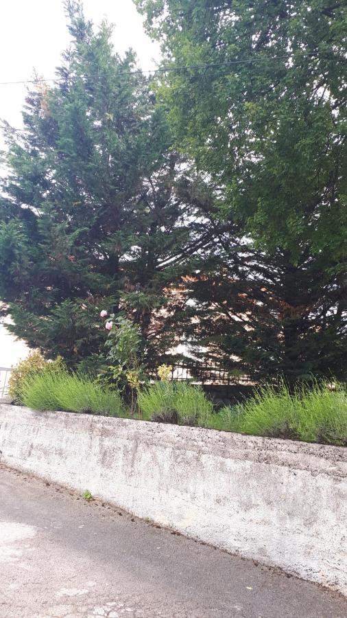 Apartman Rosemary Rijeka Exterior foto